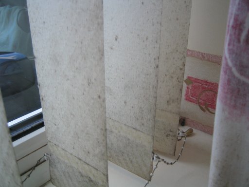 mold2